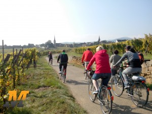 visiter découvrir strasbourg alsace vélo course pied